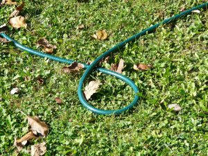 rubber or pvc garden hose